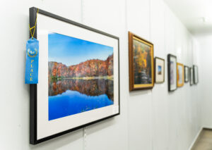 Local art organization holds 10th Annual Photography Show